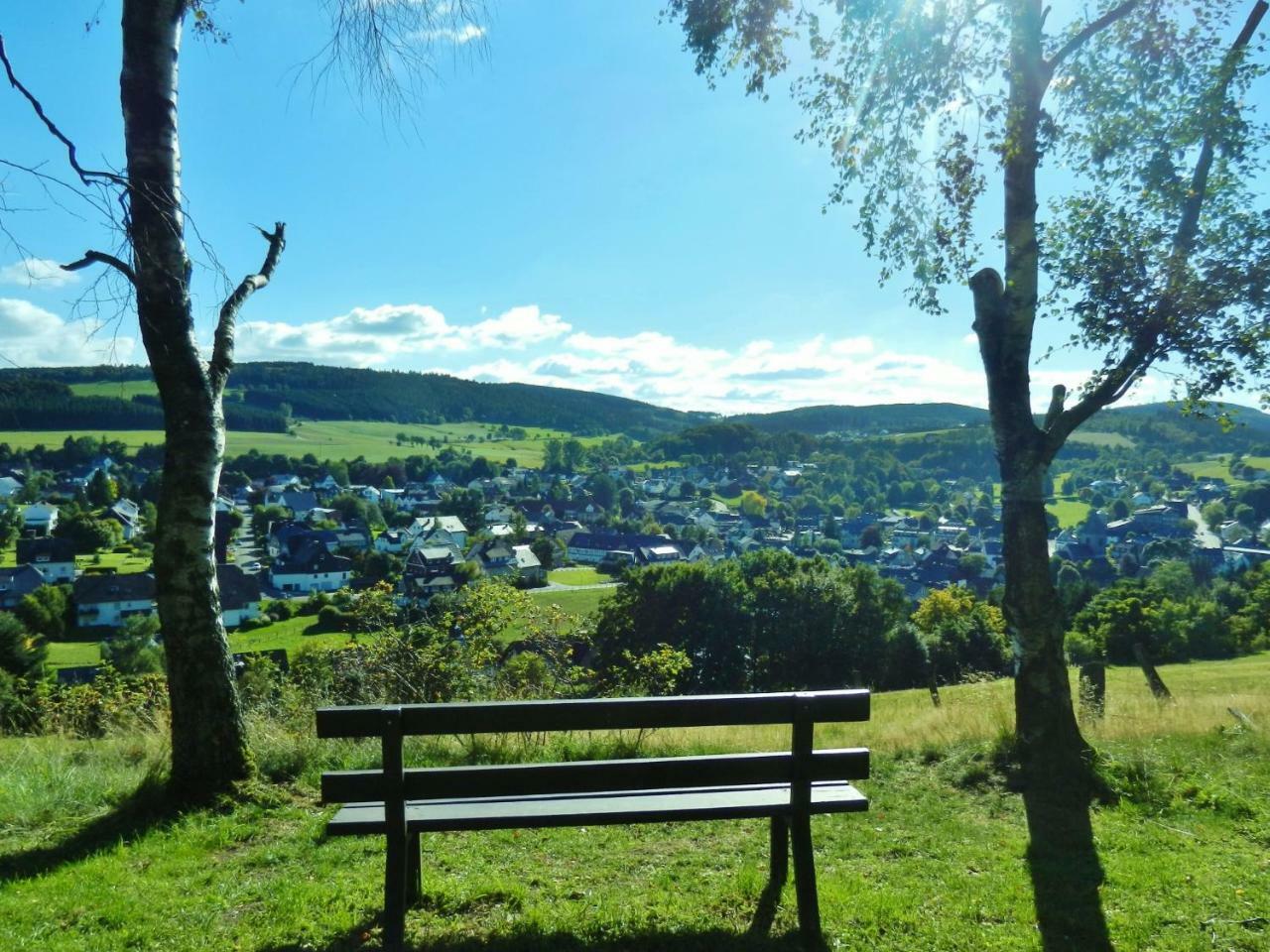 Fewo Maisonette-Traum Mit Meinecardplus Willingen  Luaran gambar